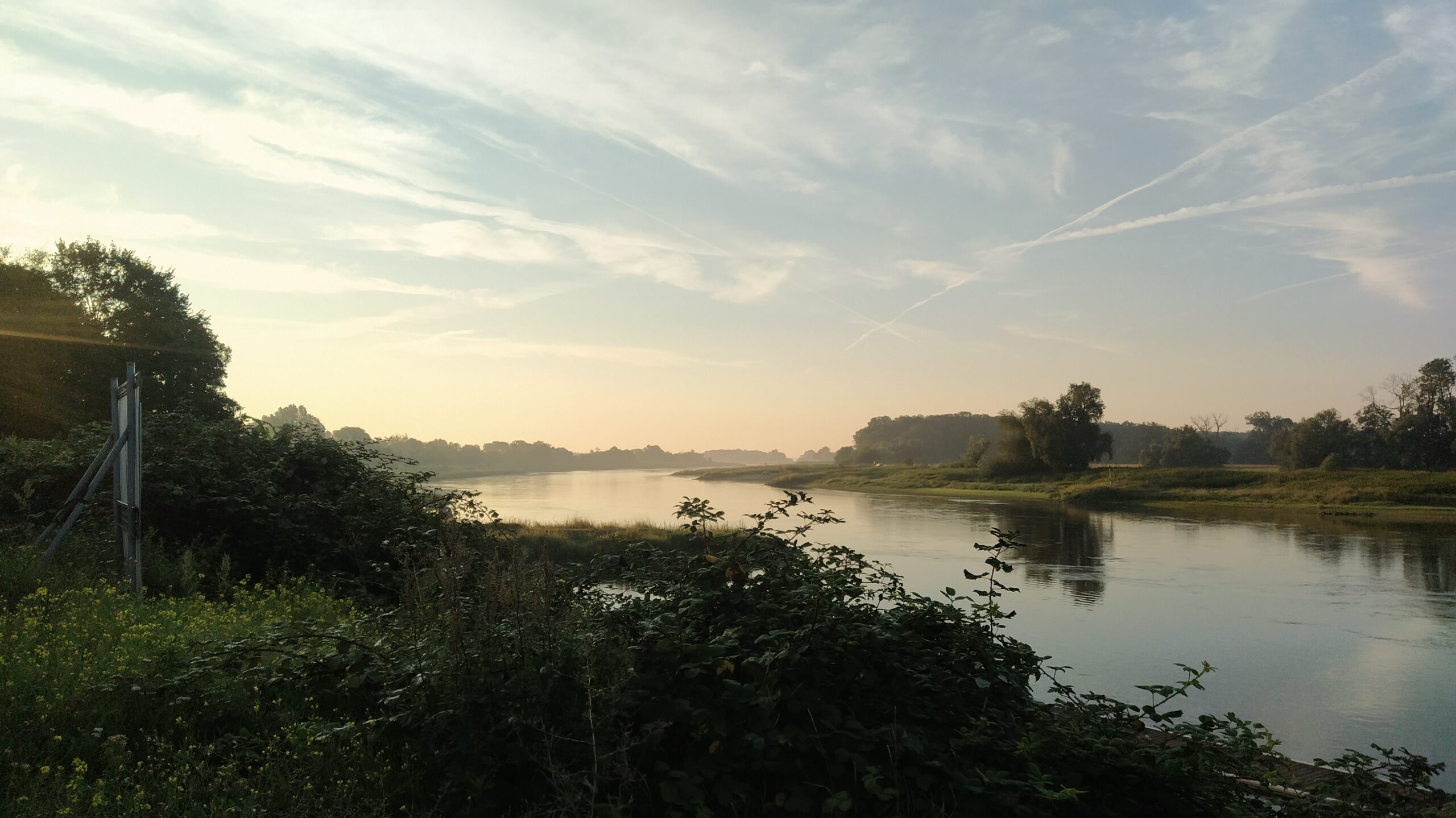 Bild P-M 8