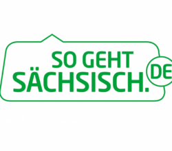 Bild1