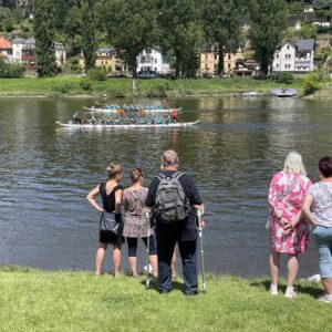 IMG_2461